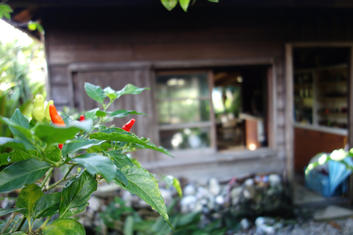 DSC06751.JPG