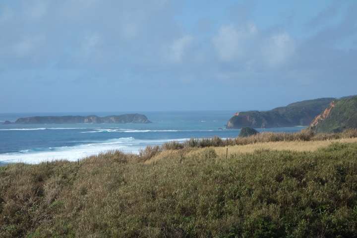 DSC06759.JPG
