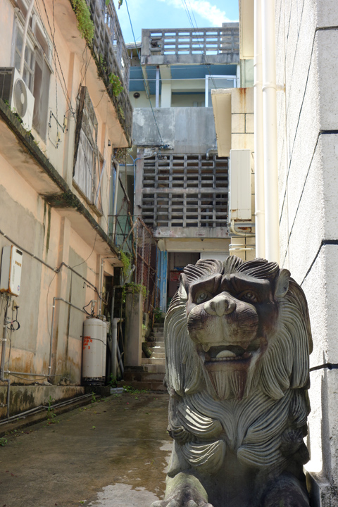 DSC06830.JPG