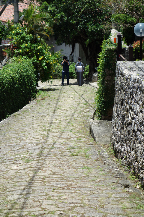 DSC06860.JPG