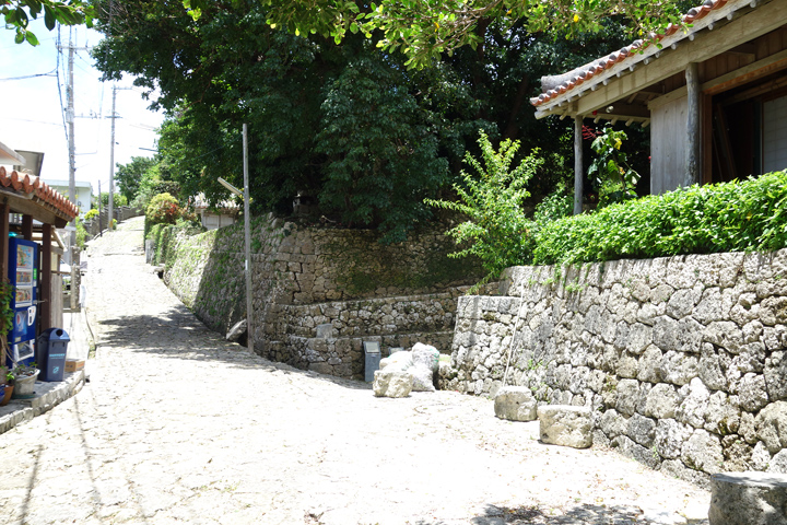 DSC06864.JPG