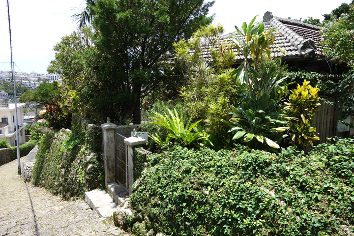 DSC06870.JPG