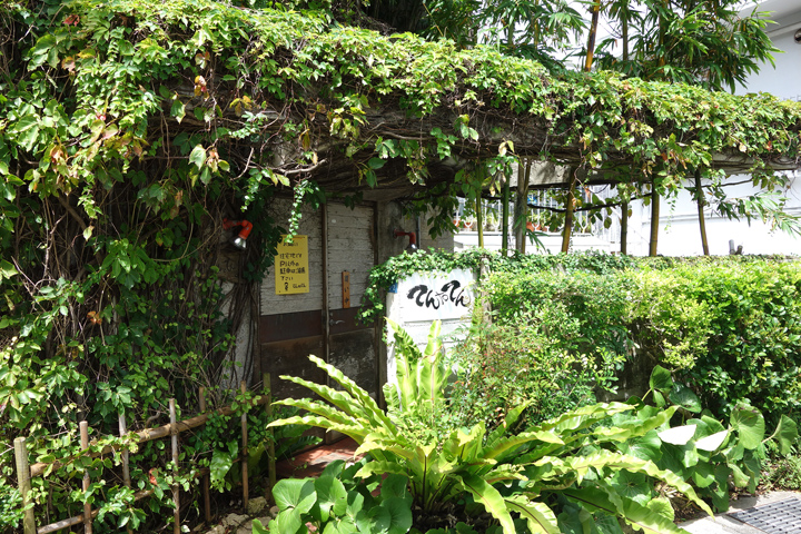 DSC06889.JPG