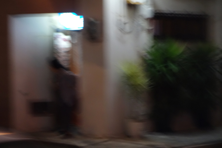 DSC06923.JPG