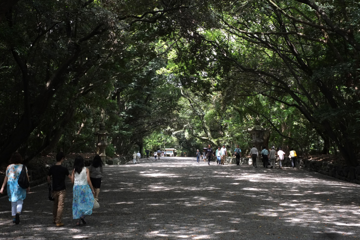 DSCF3614.JPG