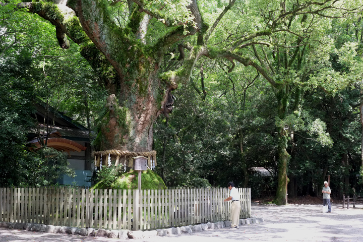 DSCF3618.JPG