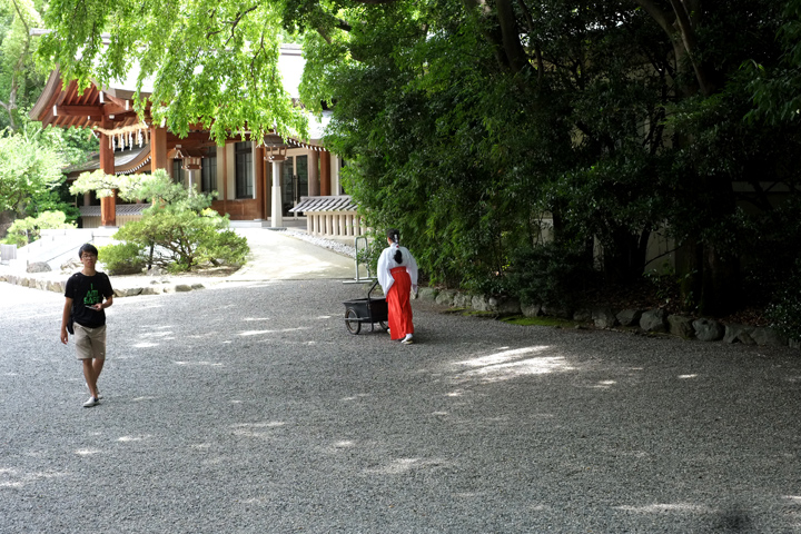 DSCF3634.JPG