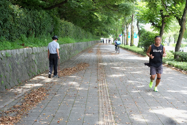 DSCF3636.JPG