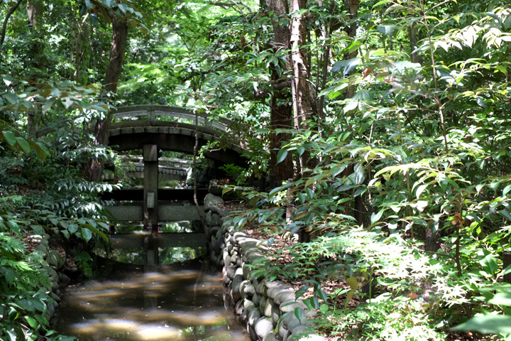 DSCF3643.JPG
