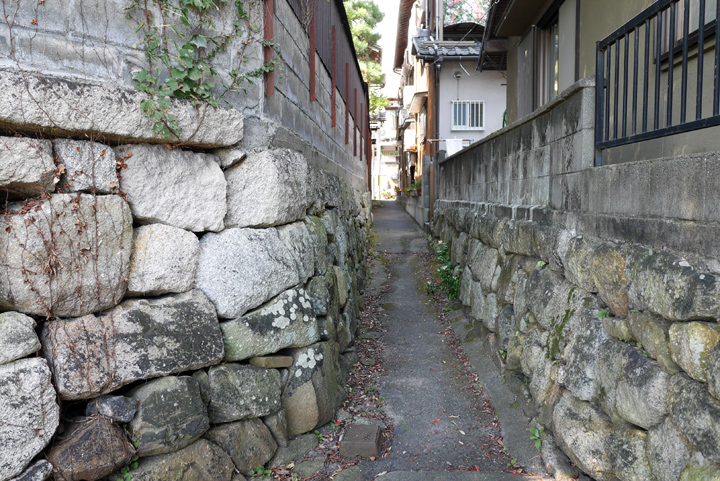 P1000407.JPG