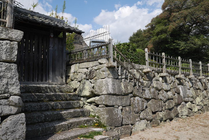 P1000408.JPG