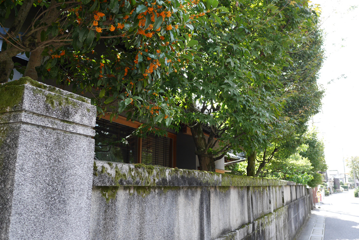 P1000431.JPG