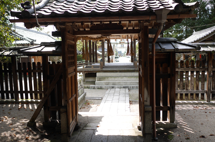 P1000440.JPG