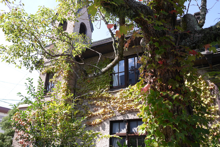 P1000488.JPG