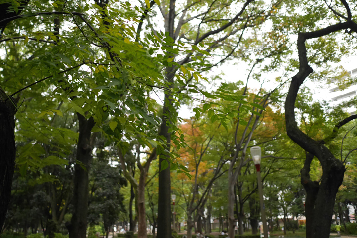 P1000617.JPG