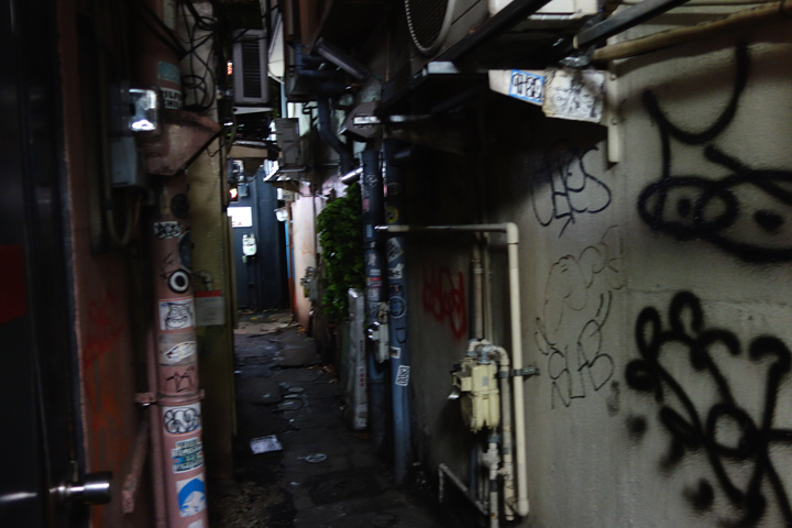 DSC01113.JPG