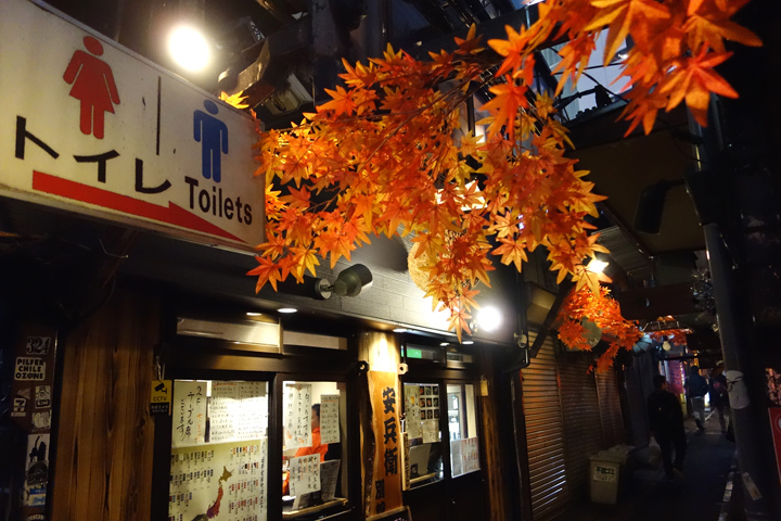 DSC01472.JPG