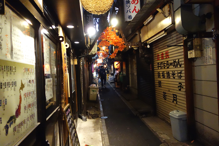 DSC01473.JPG