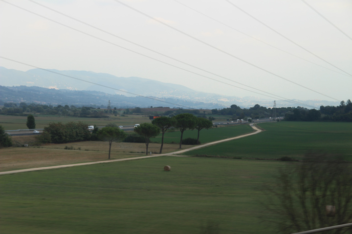 IMG_4855.JPG