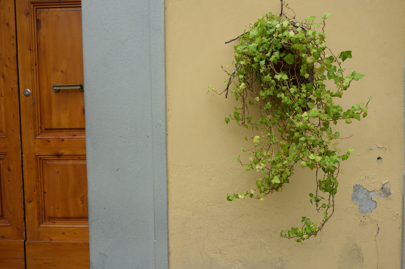DSC07225.JPG
