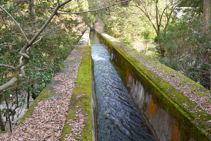 P1010176.JPG