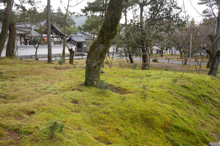 P1010185.JPG