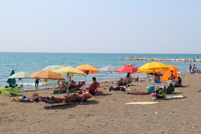 IMG_5791.JPG