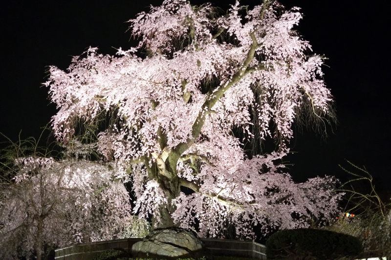DSCF4786.JPG