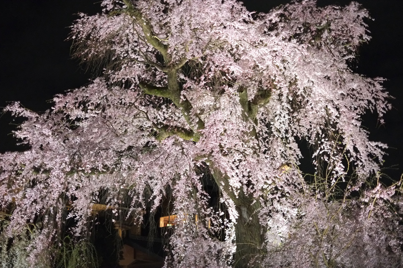 DSCF4794.JPG