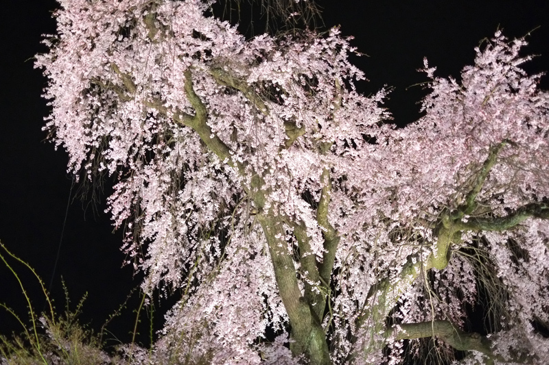DSCF4807.JPG