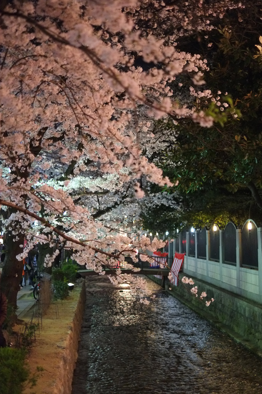 DSCF4841.JPG