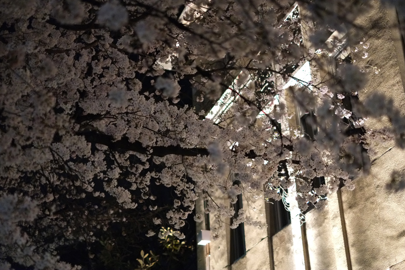 DSCF4842.JPG