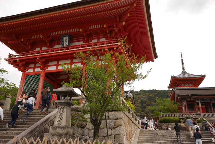 P1030577.JPG