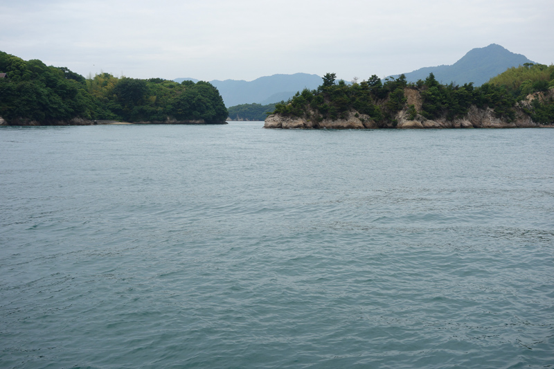 DSC00587.JPG