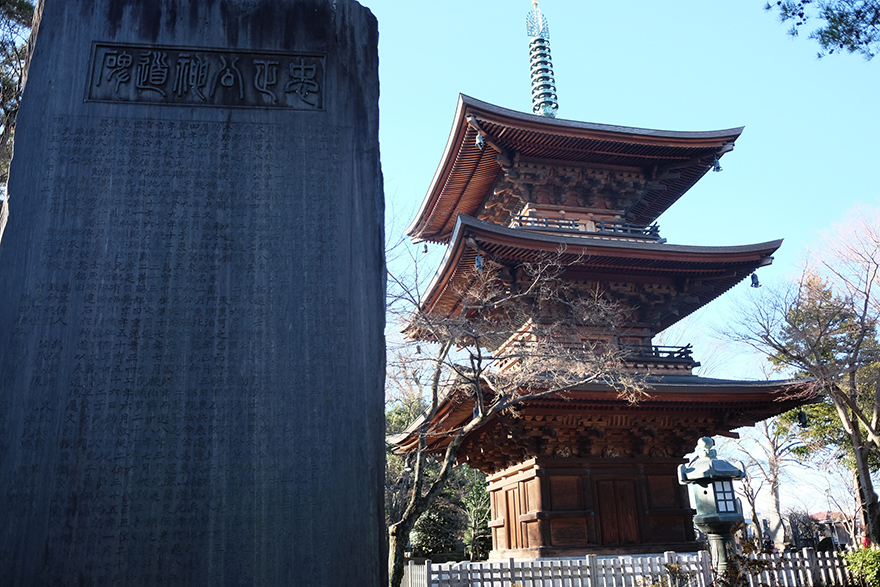 DSCF3360.JPG