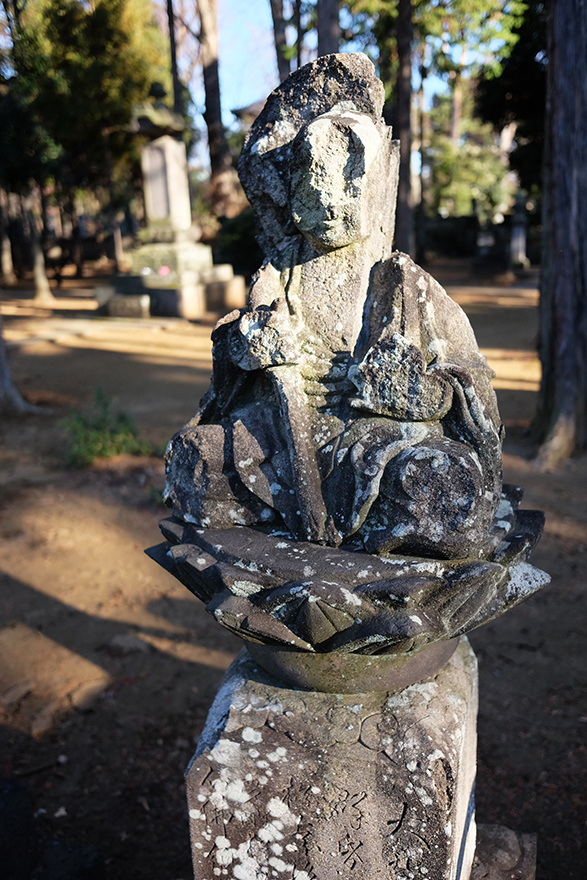 DSCF3399.JPG