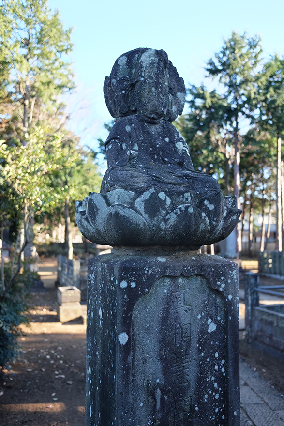 DSCF3401.JPG