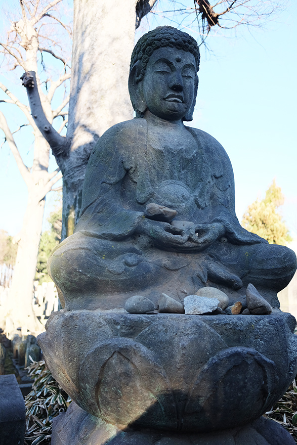 DSCF3409.JPG