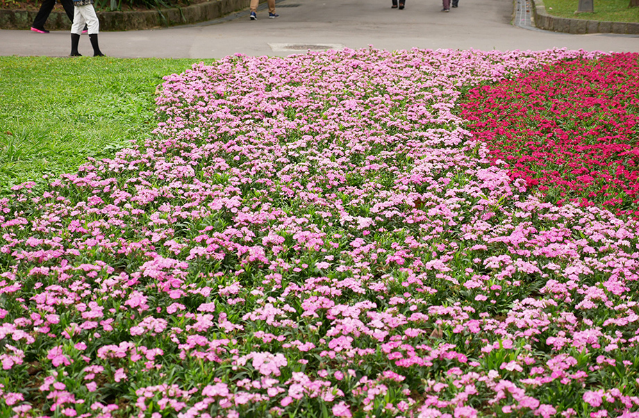 P1000124.JPG