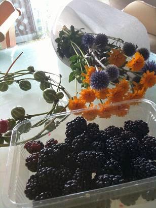 blackberry
