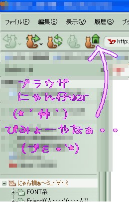 にゃんこー