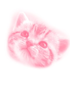 にゃんこブラシ