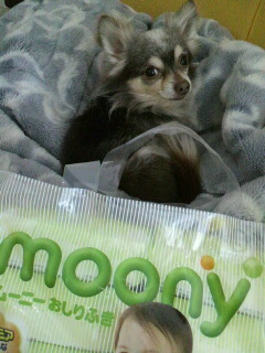2011032416020000.jpg