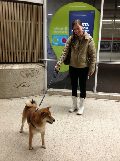 ヘルシンキで見つけた柴犬