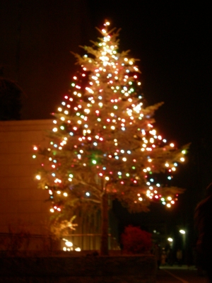 2010ǯÍìÀ±¤Î¥¯¥ê¥¹¥Þ¥¹¥Ä¥ê¡¼