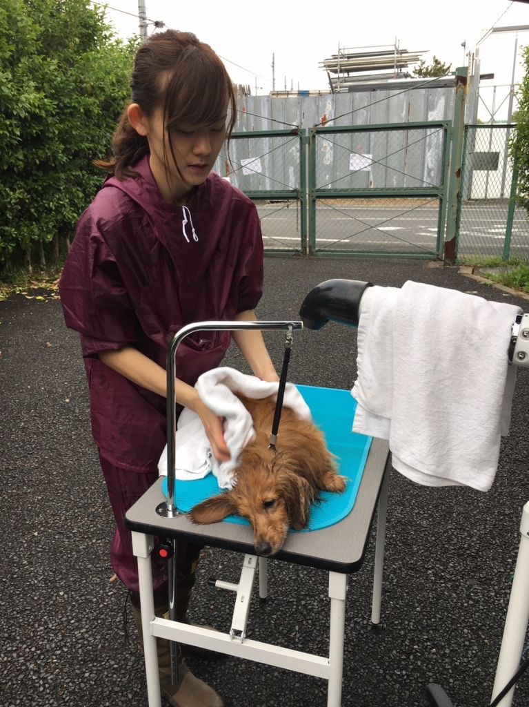 さとうさん
