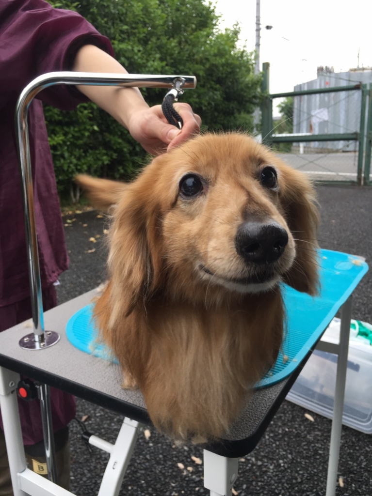さとうさん