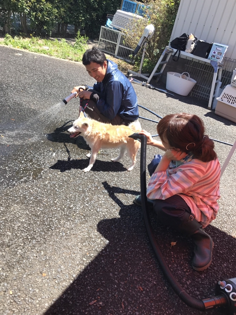 みやび