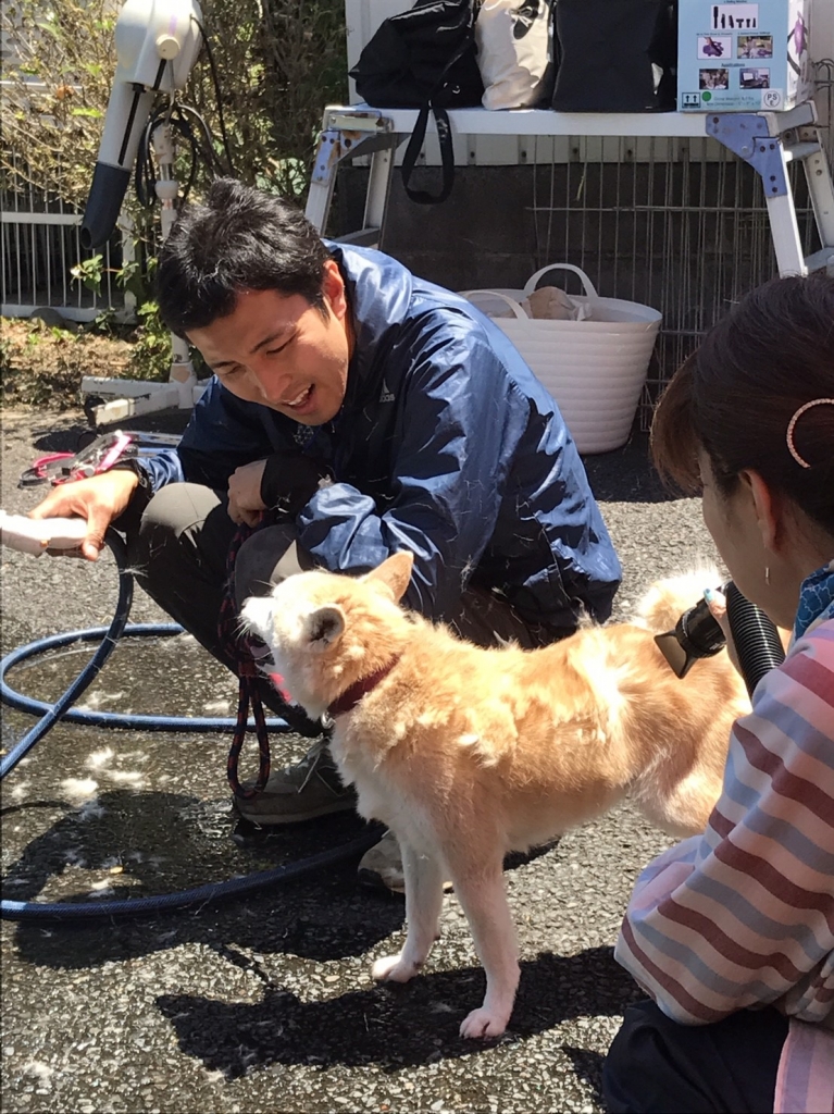 みやび