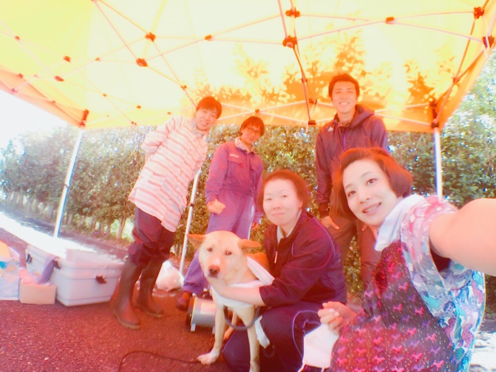 集合写真